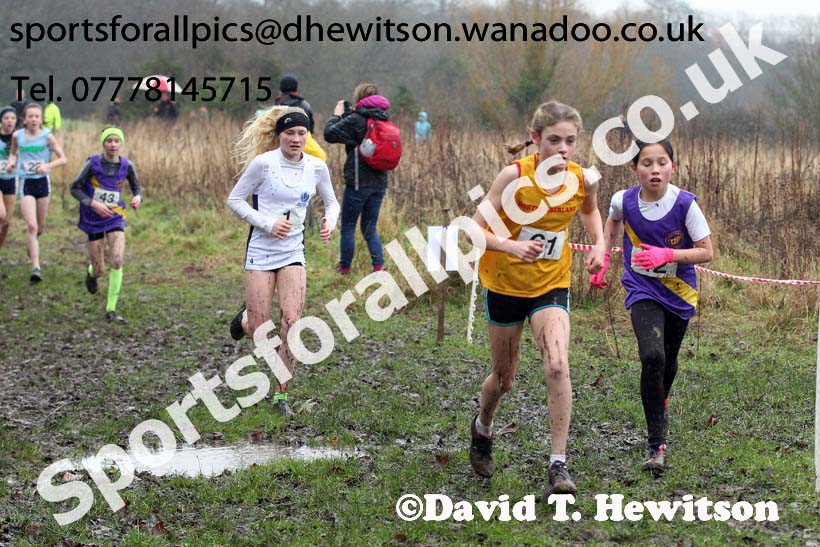 Minor girls Northern Inter Counties Schools Cross Country, Stockton. Photo: David T. Hewitson/Sports for All Pics
